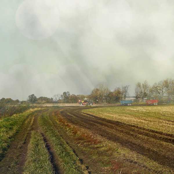 Brown and green farm fields under a foggy sky.