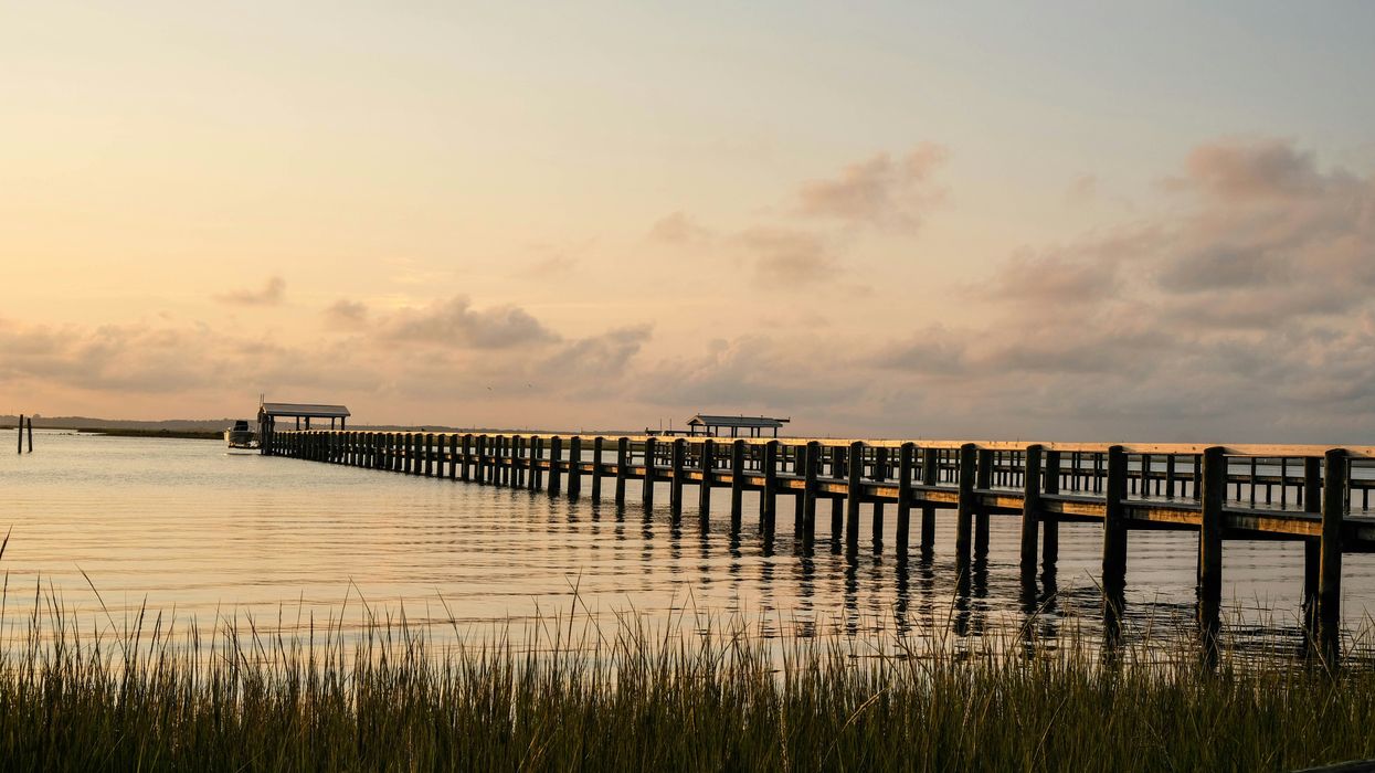 brown wooden dock on body of water during daytime.