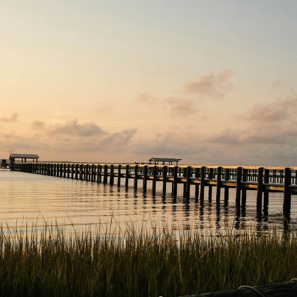 brown wooden dock on body of water during daytime.