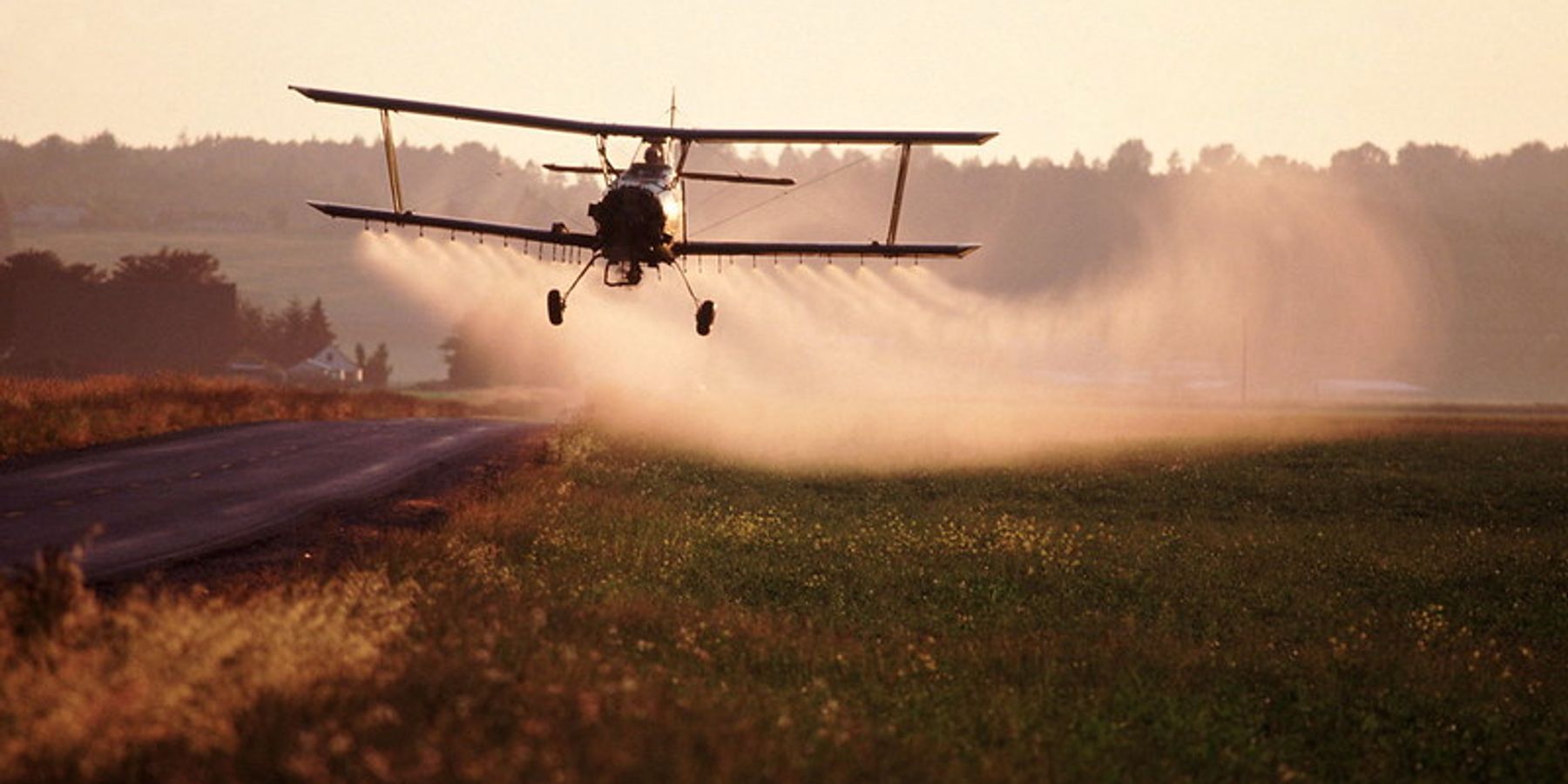 EPA report finds pesticide poses risk to workers, spurs calls for ban.