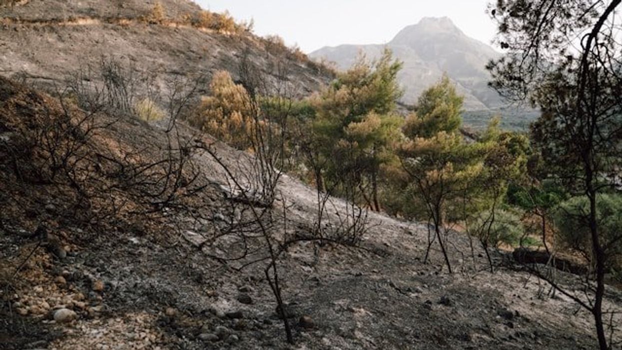 Burned hillside with mountains in the background