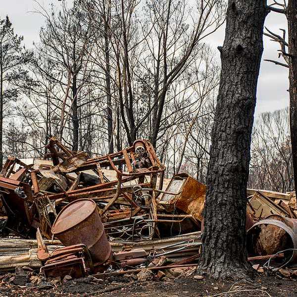 Burned-out rubble as a result of a wildfire