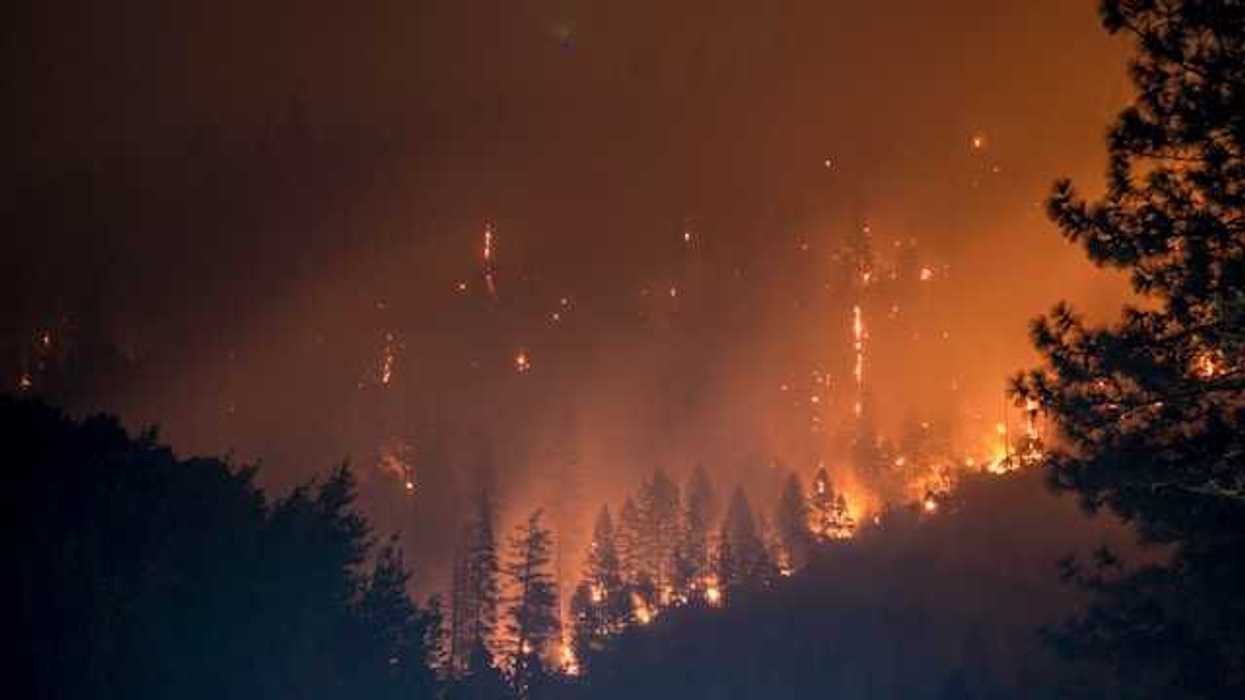 Burning forest at night