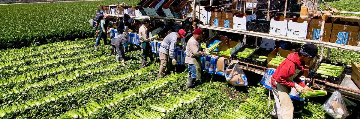 California farmworkers