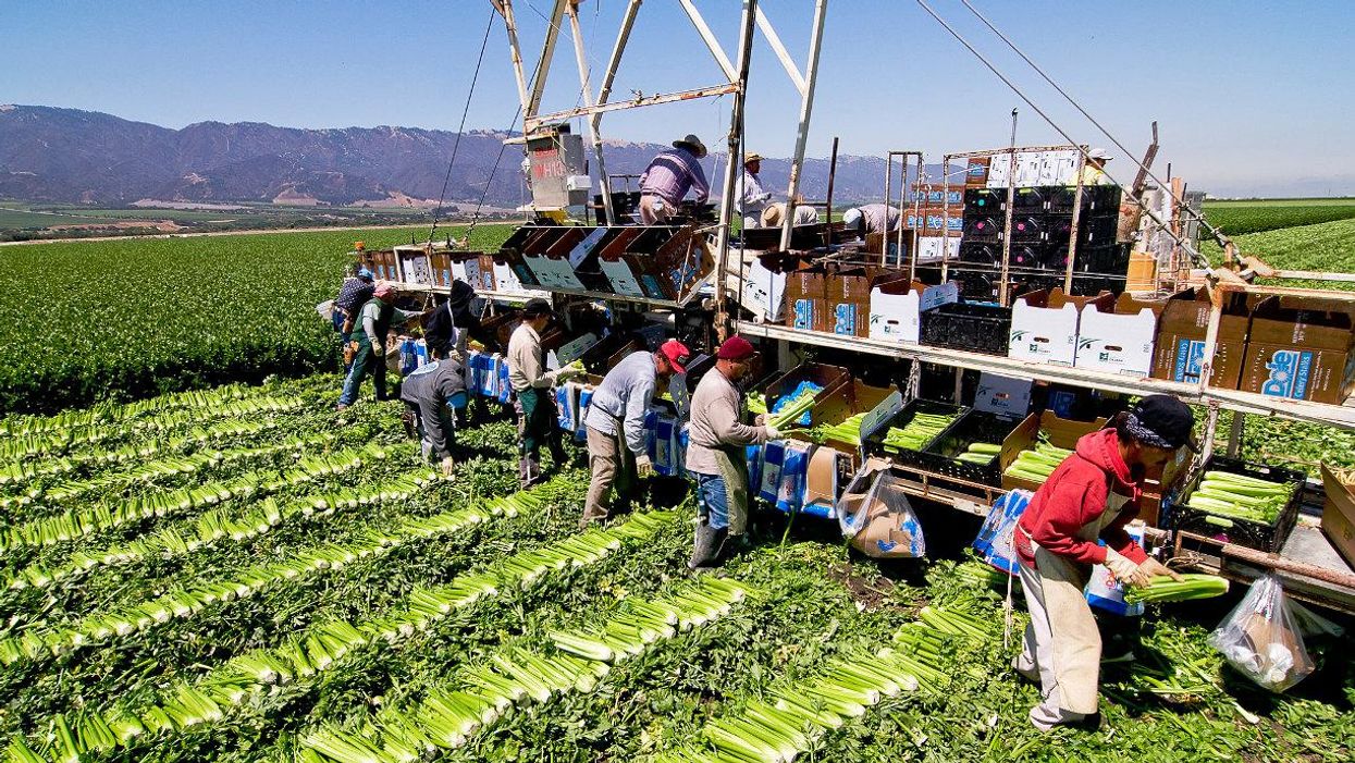 California farmworkers