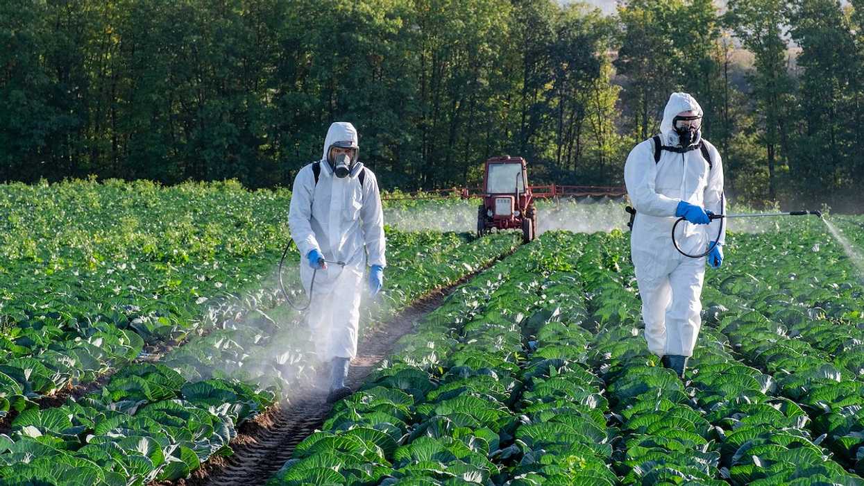California launches statewide pesticide notification system