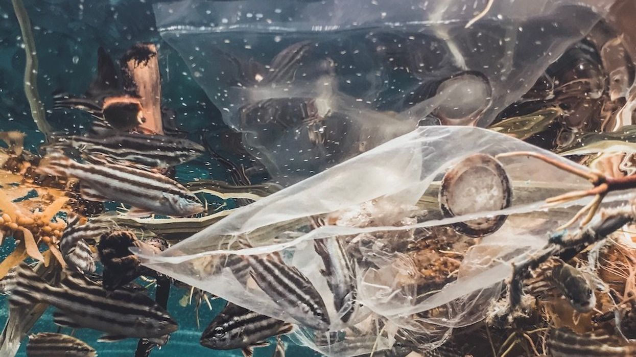 California plastic waste legislation