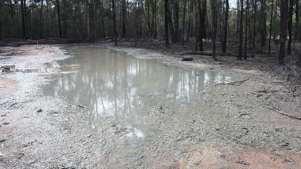 calls to strengthen polluter pays principle