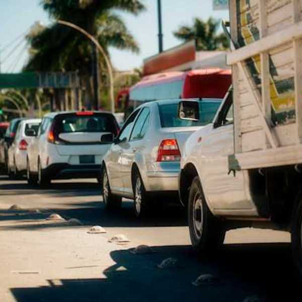 Cars at a traffic light lined up, with palm trees lining the street