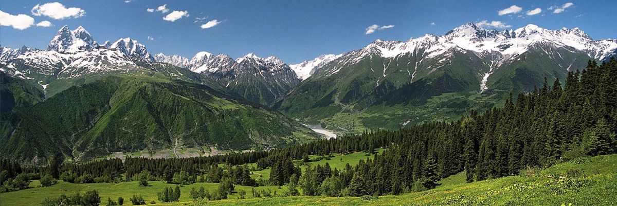 Environmental reporting can help protect citizens in emerging democracies