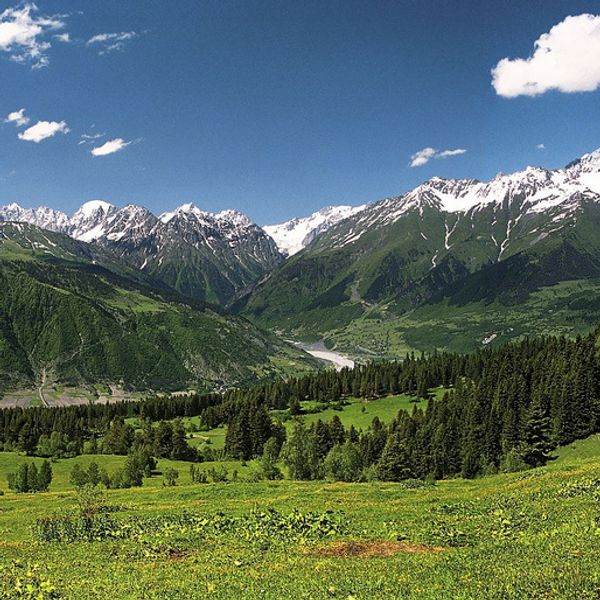 Environmental reporting can help protect citizens in emerging democracies