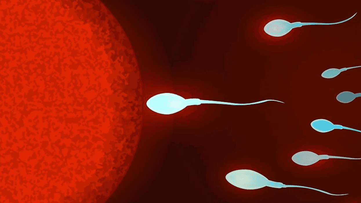 Cell phone radiation can harm sperm and testes in animals