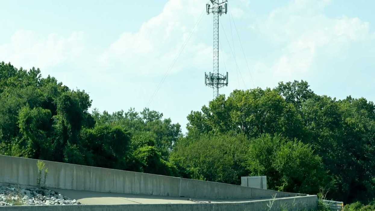 Cell tower rising above trees
