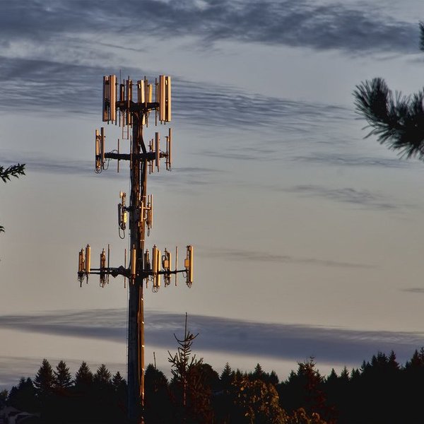 Cell tower surrounded by trees