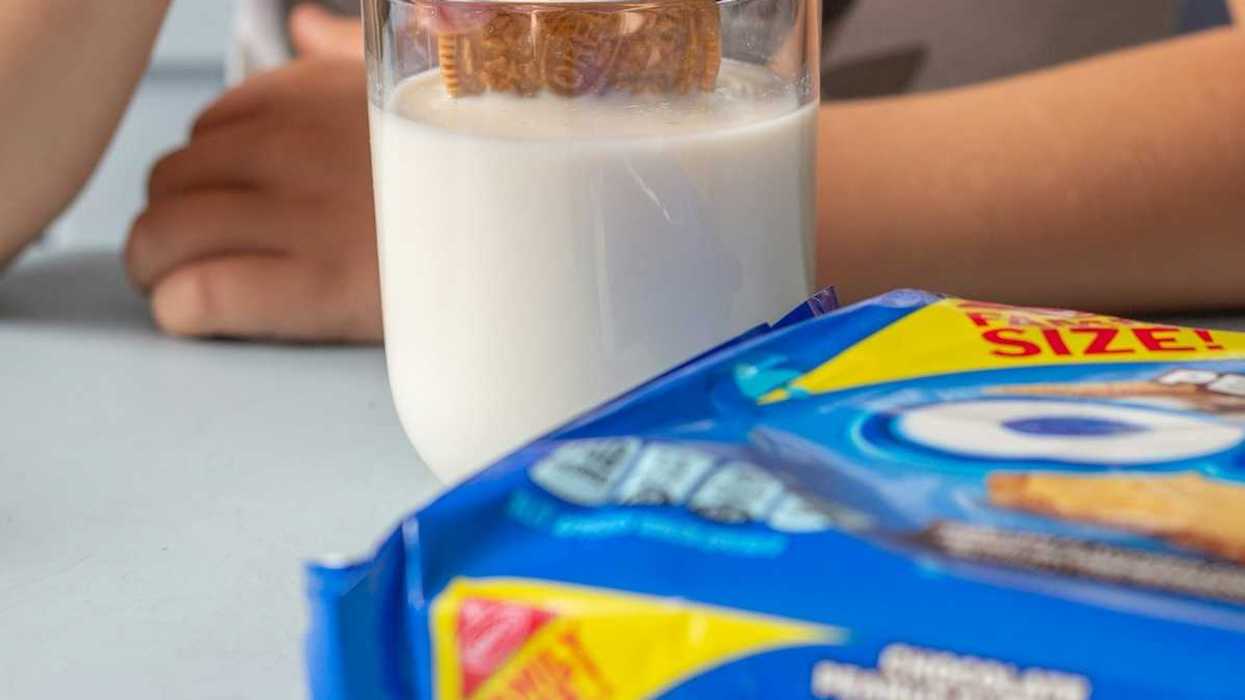Child dunking an Oreo cookie into a glass of milk prior to eating