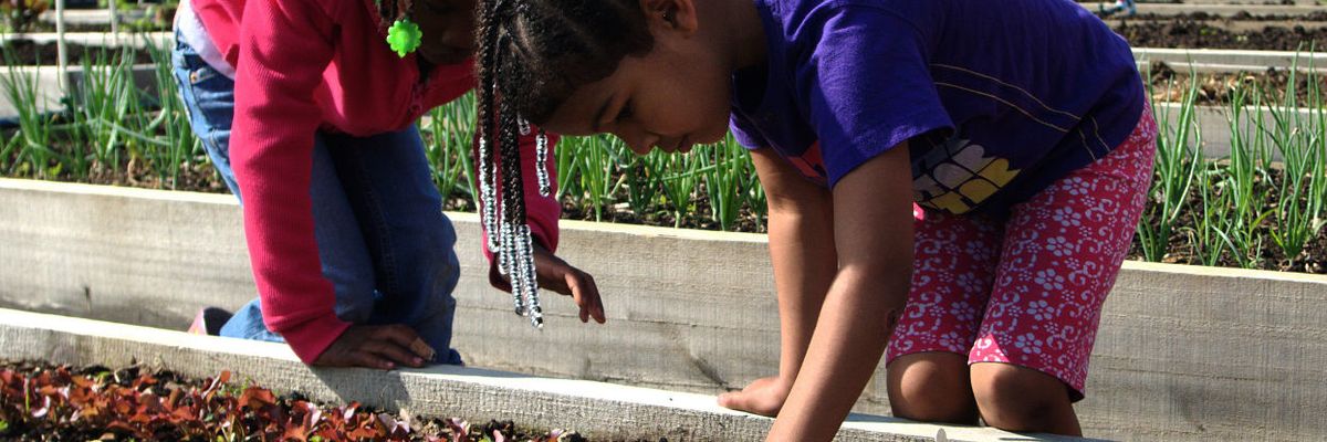Children gardening