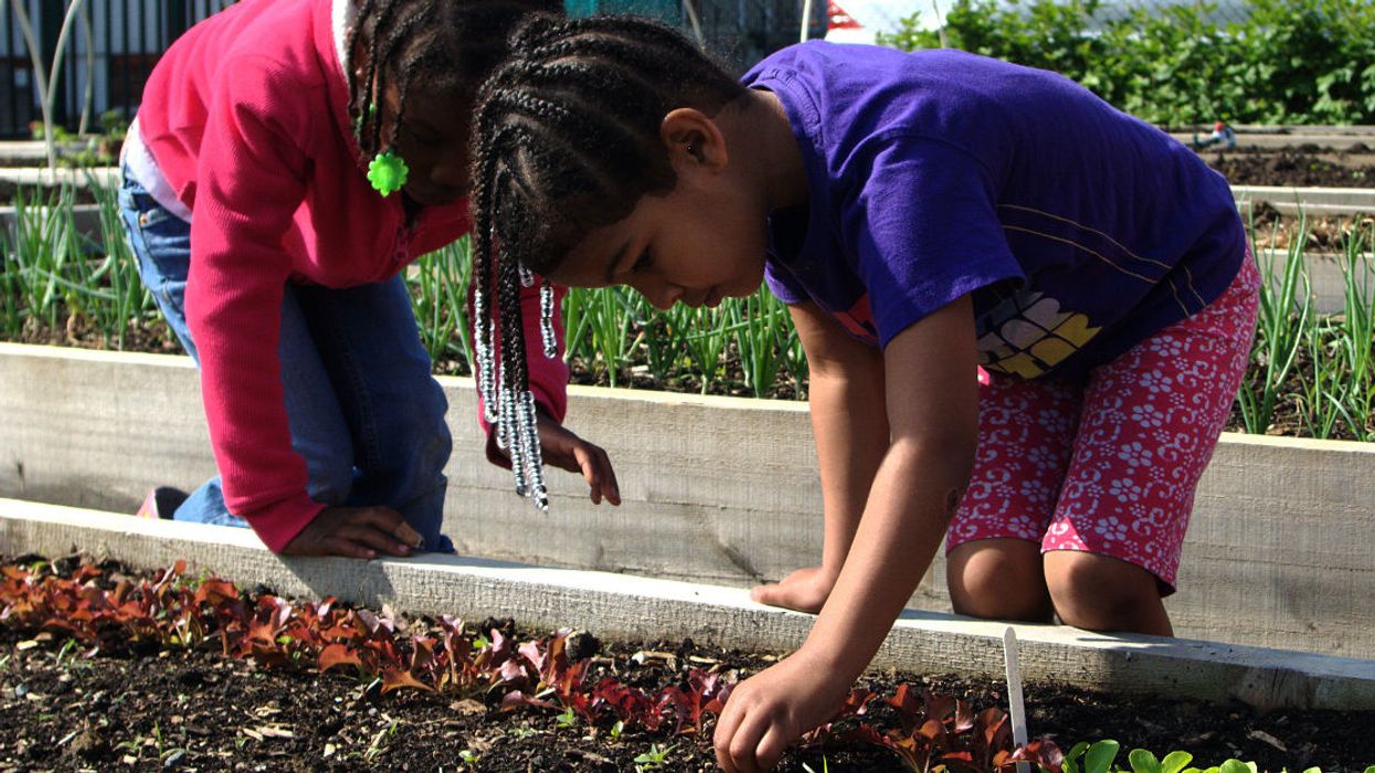 Children gardening