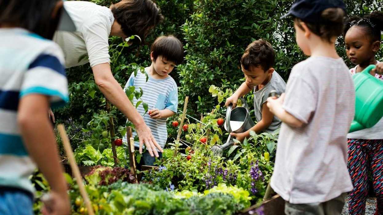 Children under adult tutelage working on community gardening