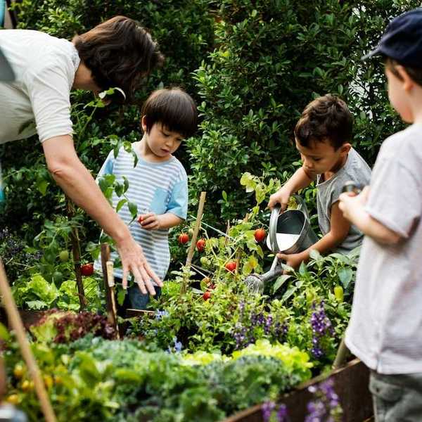 Children under adult tutelage working on community gardening