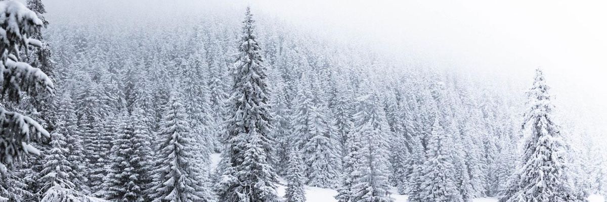 Christmas good news tale