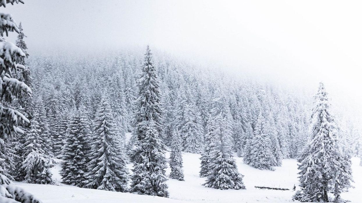 Christmas good news tale