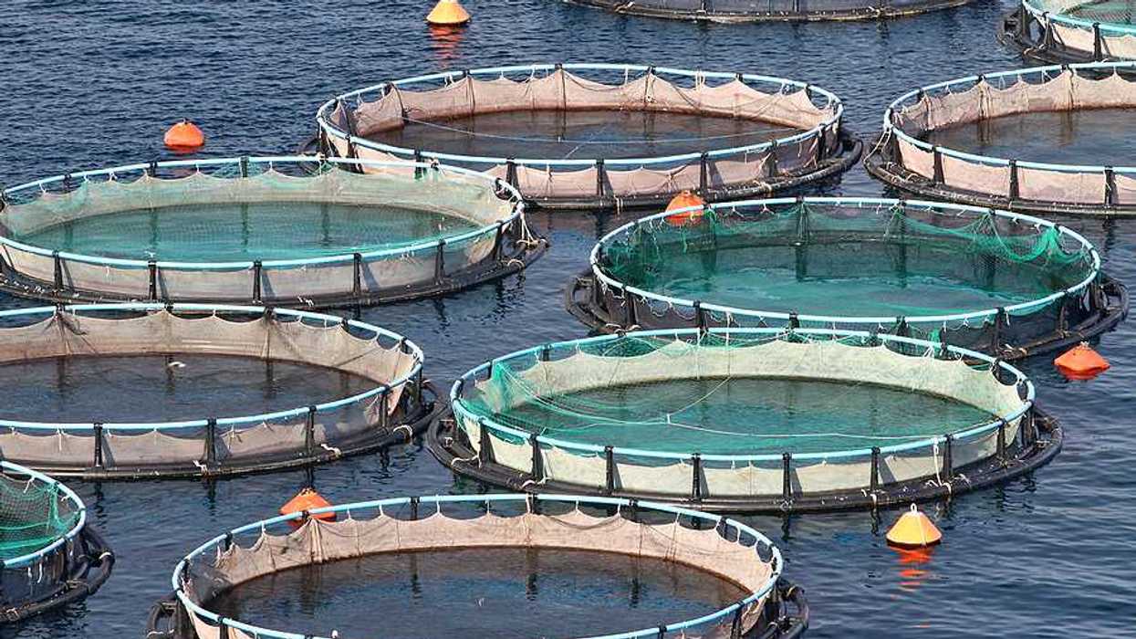 Circular fish holding tanks in the ocean