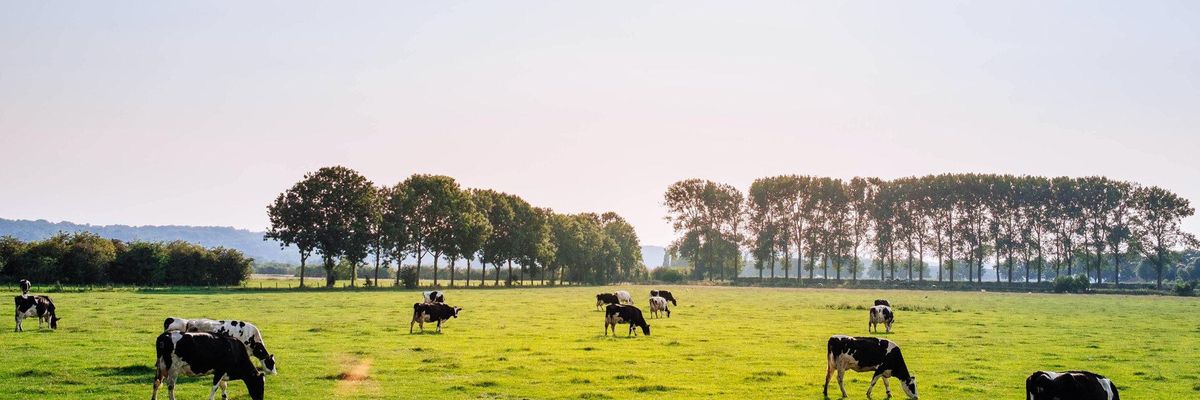 Climate change farming livestock