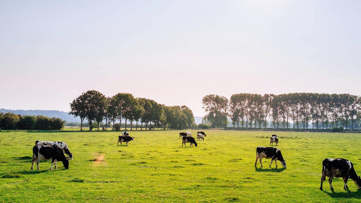 Climate change farming livestock