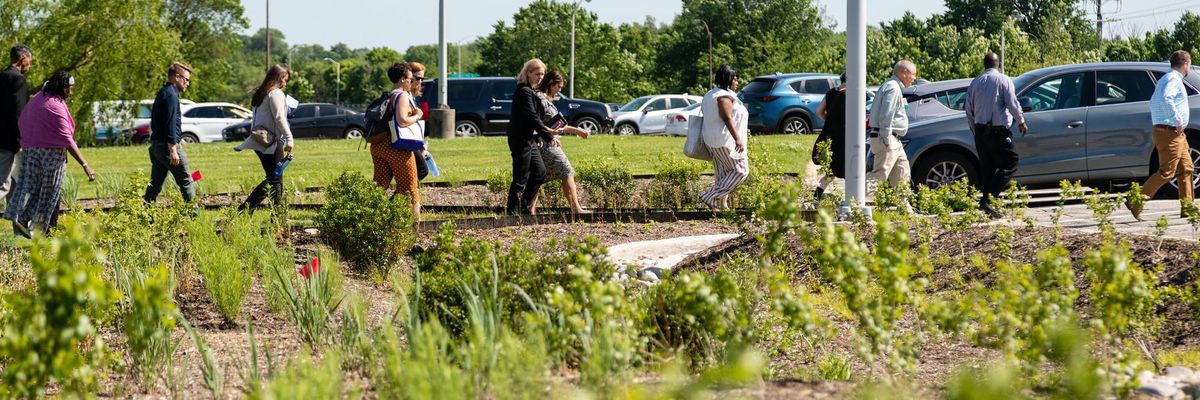 climate change greenspace