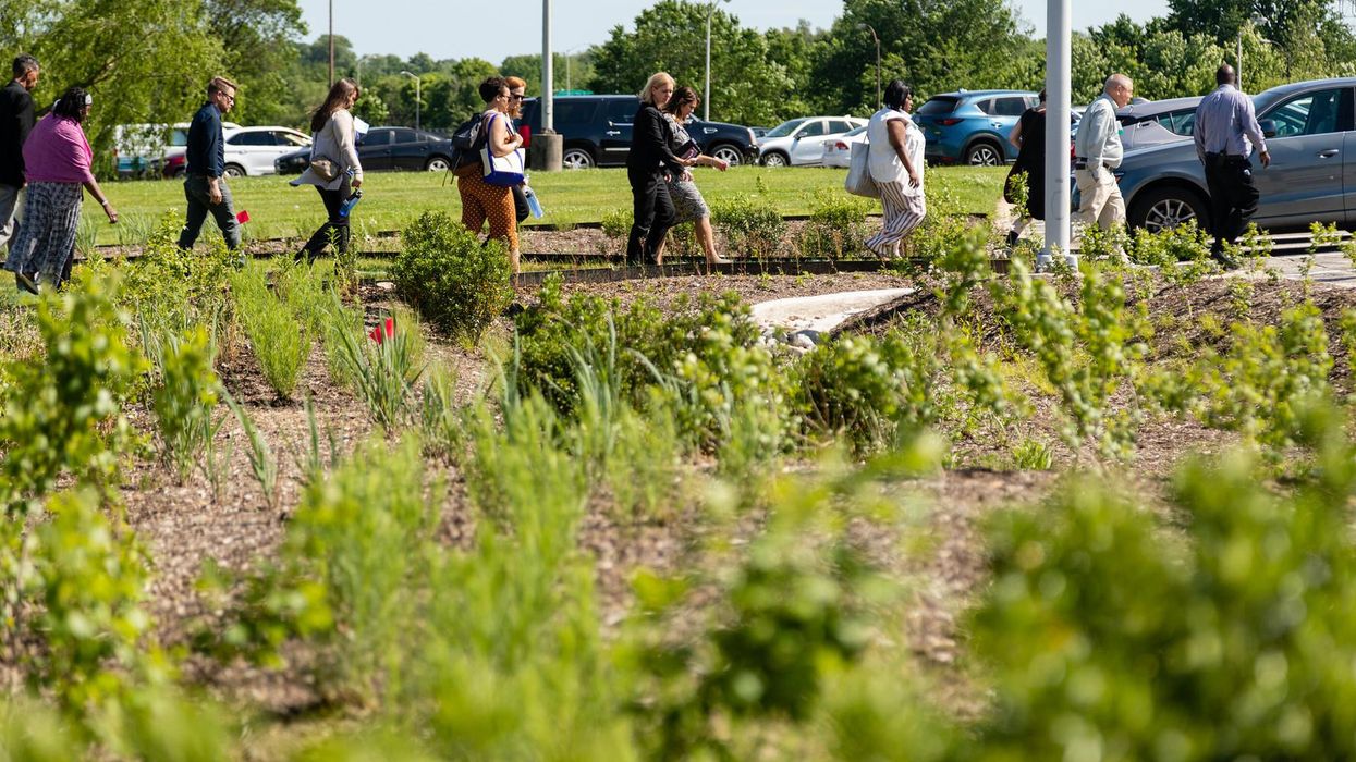 climate change greenspace