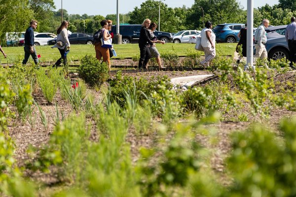 climate change greenspace