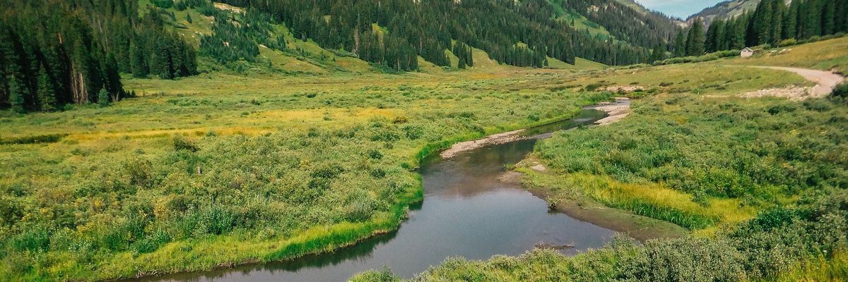 Climate change impacts