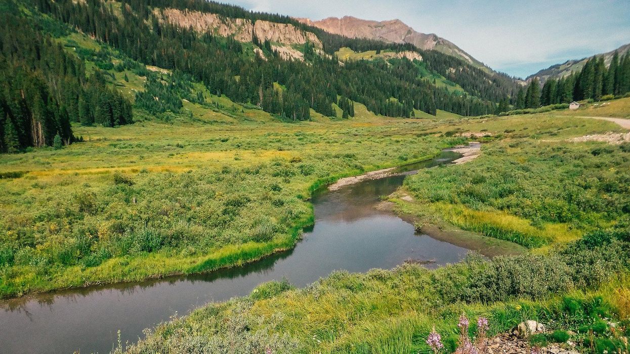 Climate change impacts