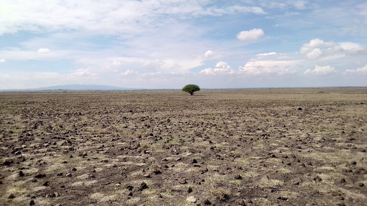 climate crisis fueling Horn of Africa drought