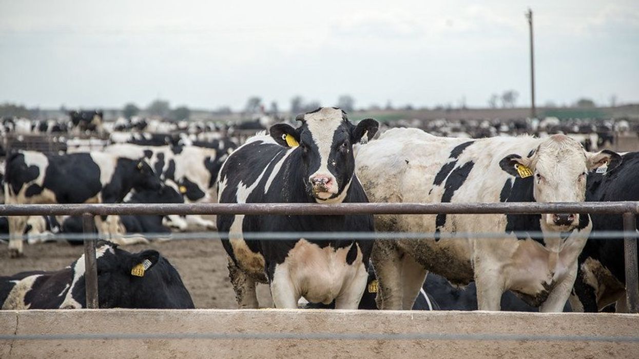 climate crisis global hunger