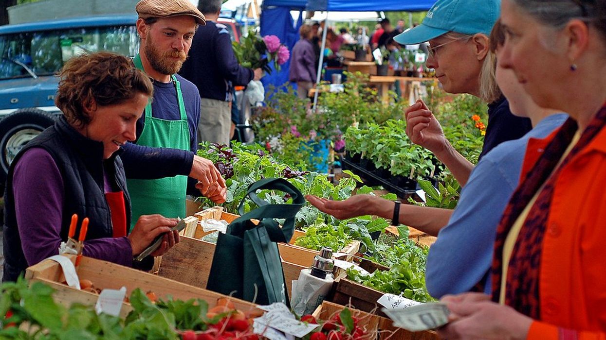 How chefs are shaping climate Biology Diagrams