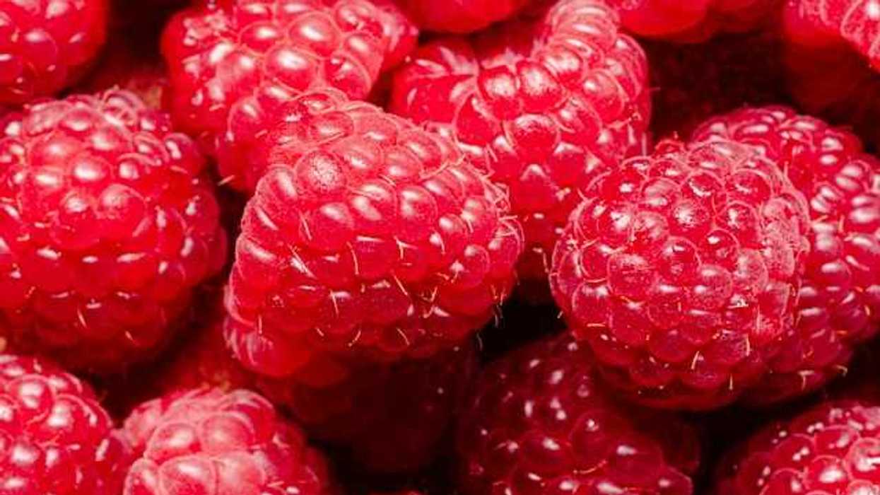 Closeup of a bunch of raspberries