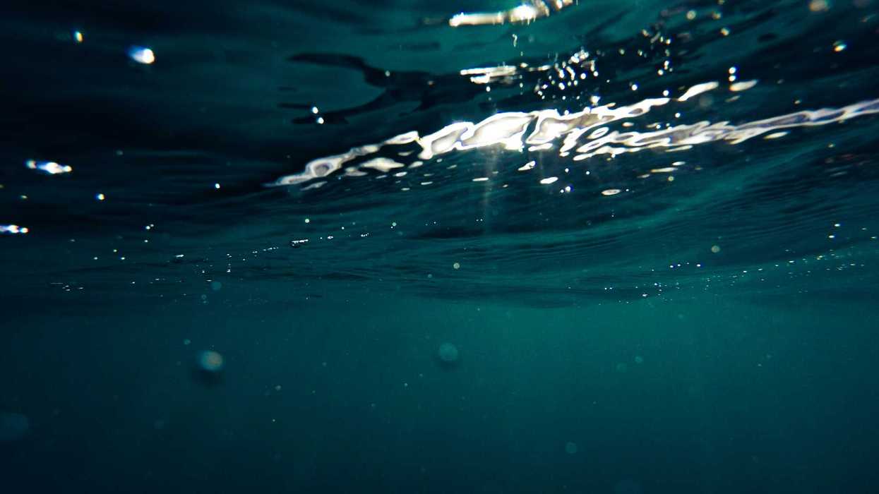 closeup photo of green water formation.