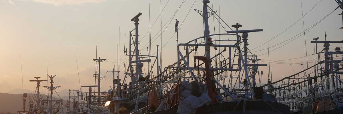 Commercial fishing boats at dock.