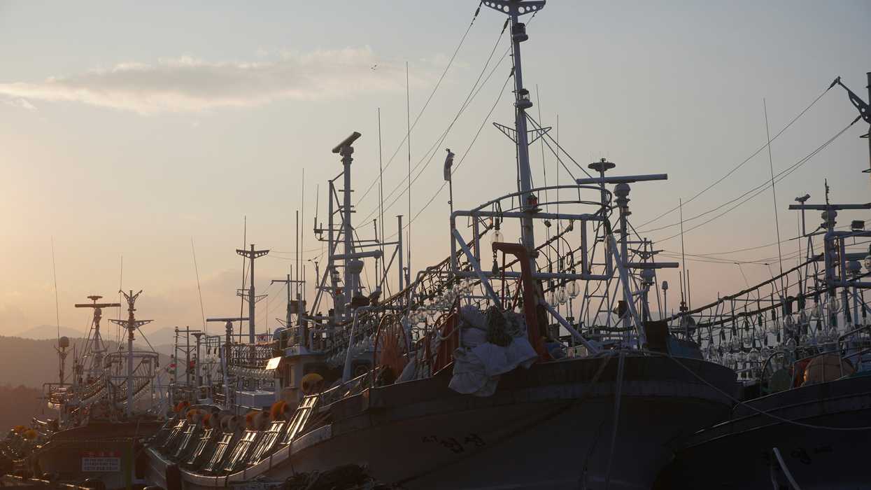 Commercial fishing boats at dock.
