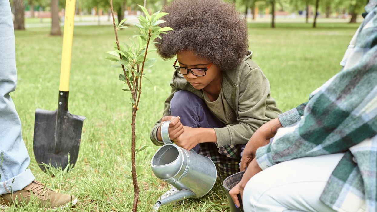 community garden
