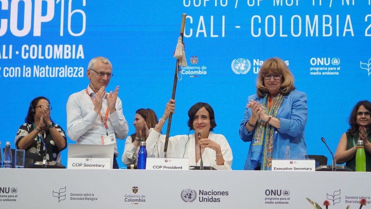 COP16 Columbia biodiversity