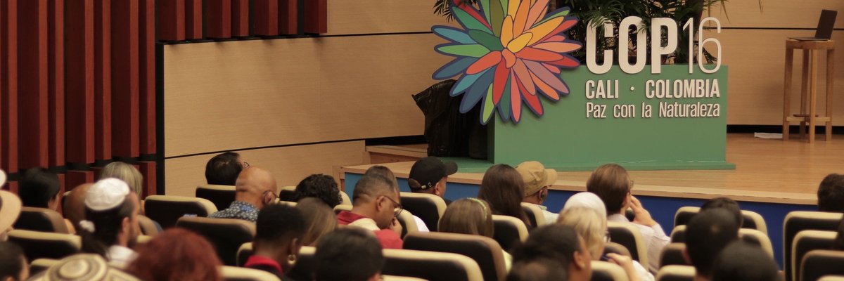 COP16 UN biodiversity
