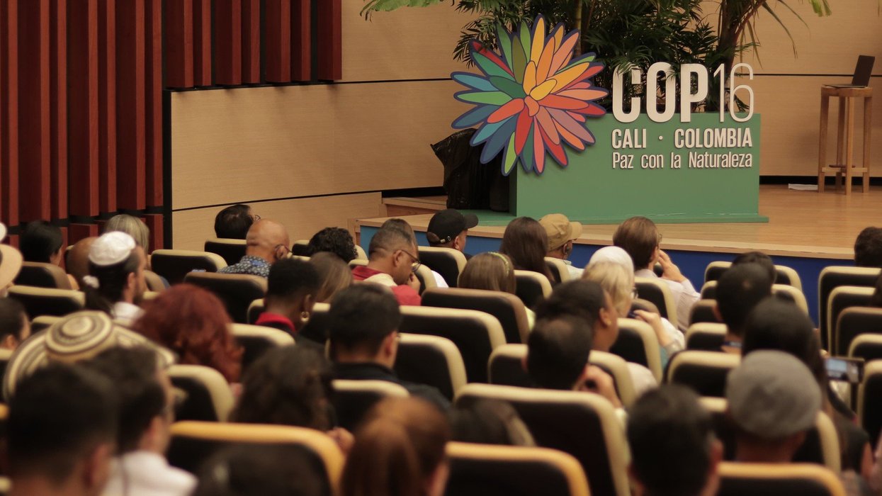 COP16 UN biodiversity