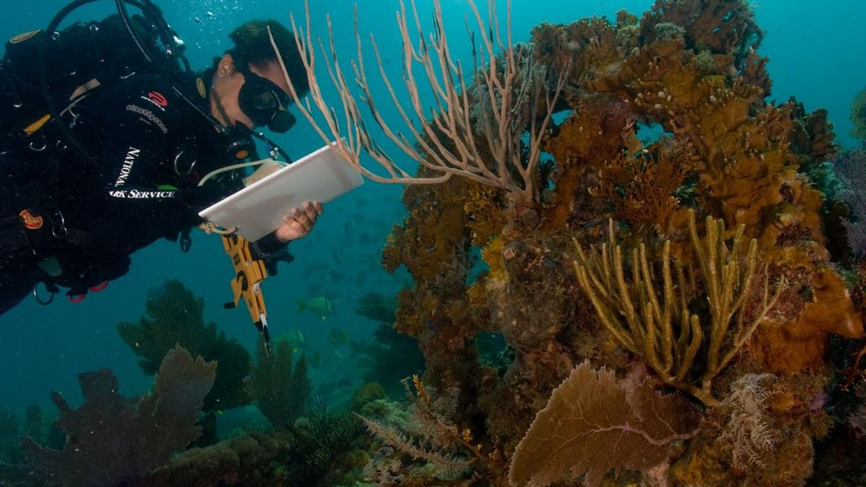 Marce Gutiérrez-Graudiņš: Las comunidades latinas tienen soluciones a los desafíos del océano y el clima
