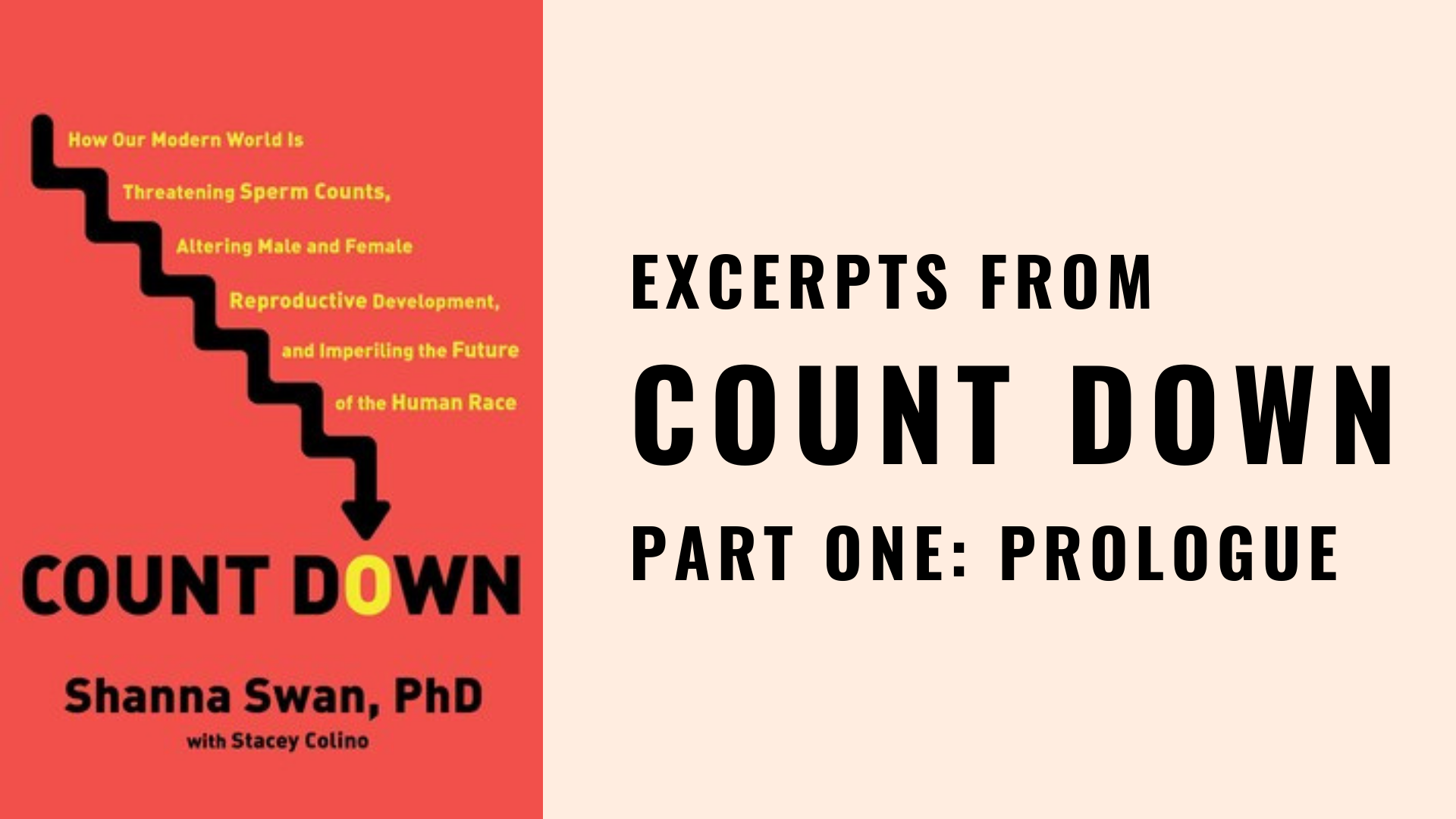 Count Down by Shanna Swan