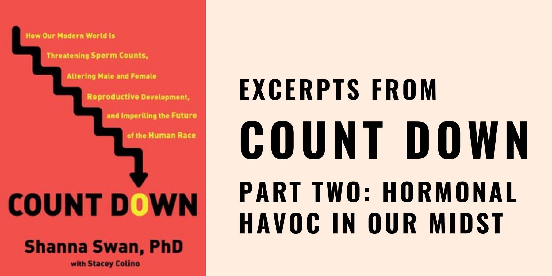 Count Down by Shanna Swan