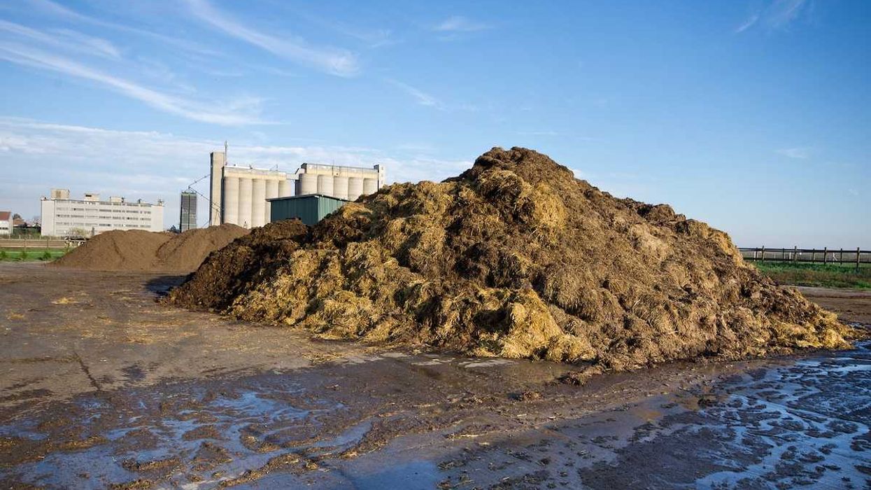 These pink microbes could help reduce planet-warming methane emissions