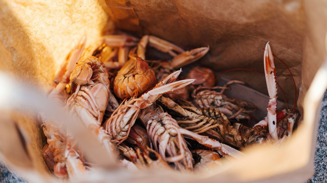 Crabs and other shellfish in brown paper bag.