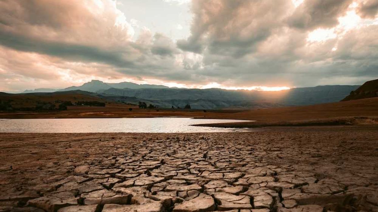 Track how extreme this year’s El Nino could get